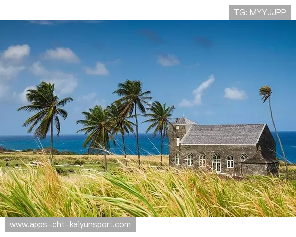 圣基茨和尼维斯举办灯光滑冰节，圣基茨和尼维斯馆